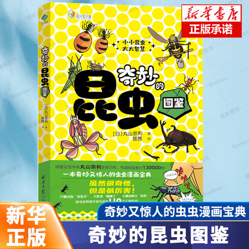 奇妙的昆虫图鉴 [日]丸山宗利（著），曾茜（译） 适合8~12岁孩子阅读的昆虫知识漫画 110种昆虫、110则关于昆虫的故事 童书