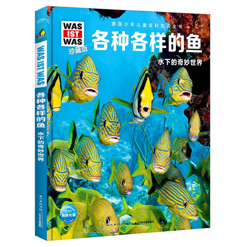 各种各样的鱼水下的奇妙世界