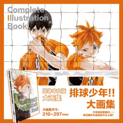 排球少年!!Complete Illustration Book结束与开始 排球少年大开本原画集简体中文版 艺术设定集