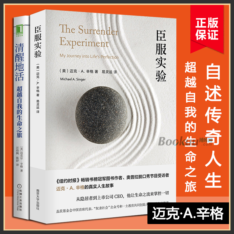 臣服实验+清醒地活共两册迈克·A.辛格著不羁的灵魂的作者真真实的人生故事清醒觉察自我平和喜悦幸福自我励志书籍