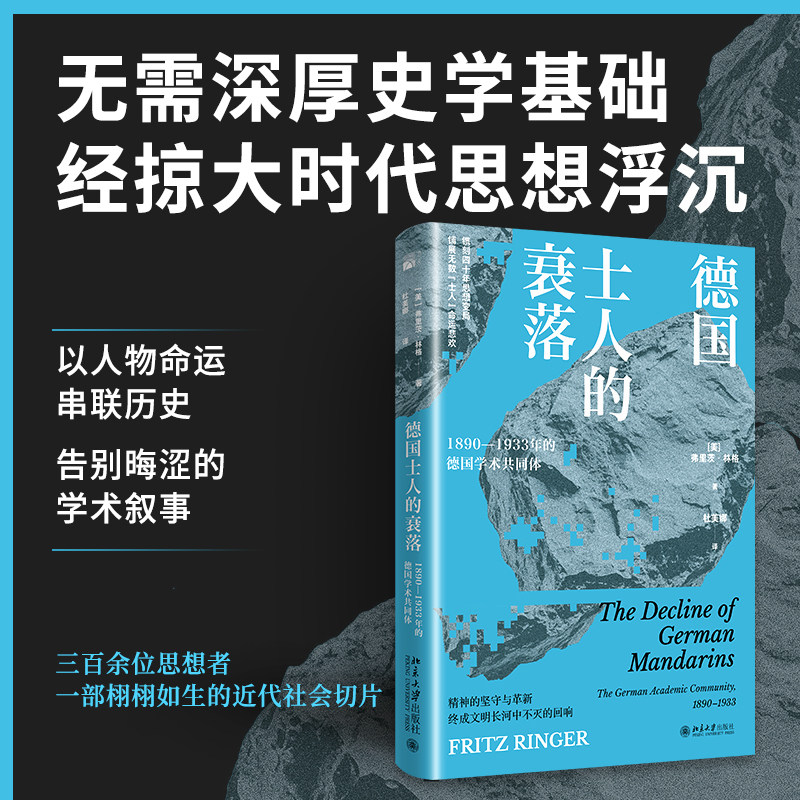 德国士人的衰落：1890—1933年的德国学术共同体 [美] 弗里茨·林格 著 以历史视角看德国知识界的思想演变 阶层危机 历史书籍