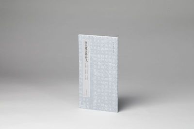 隋代墓志精粹九：袁协墓志、虞弘墓志、李和墓志、吴通墓志、朱宝墓志、杨约墓志 博库网