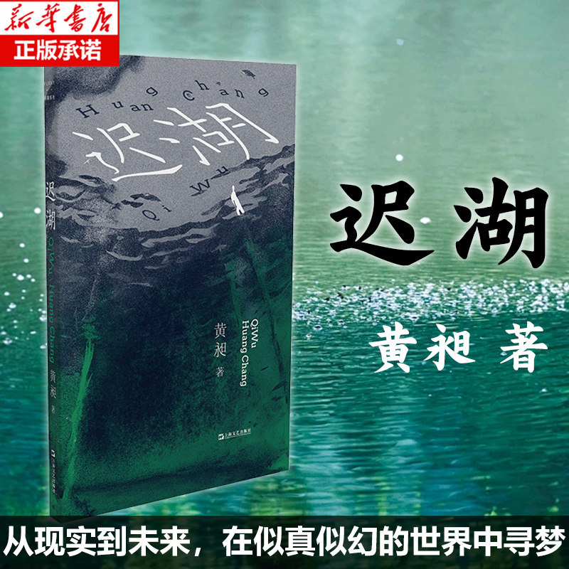 迟湖 黄昶短篇小说集 真金青年文学写作总冠军作品集中国当代文学正版图书籍 苏童张定浩杨庆祥张菁推荐 博库网