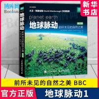 地球脉动 前所未见的自然之美 修订版 BBC蓝色星球探索科学百科丛书发现之旅探秘生命的世界中国地理少儿Ⅱ2全书俯瞰地球书籍博库