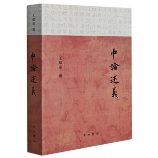 中论述义 王孺童撰分析回归佛典本义 书籍认识 哲学 经典中论广释全面解读阐释中论百论十二门论佛学述义专著