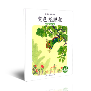 亲亲大自然丛书 保护色 博库网 动物 变色龙照相