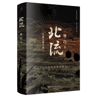 北流 林白著 花地文学榜年度长篇小说金奖 华语文学传媒大奖、老舍文学奖得主林白沉潜八年，六十万字长篇巨著 当代文学小说