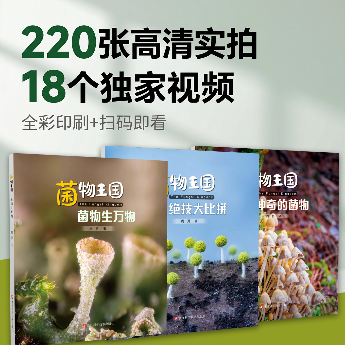 菌物王国3册神奇的菌物/绝技大比拼/菌物生万物 220张高清实拍照片18个视频展示真菌物种及其生态学特征 讲述蘑菇菌物课外科普书籍