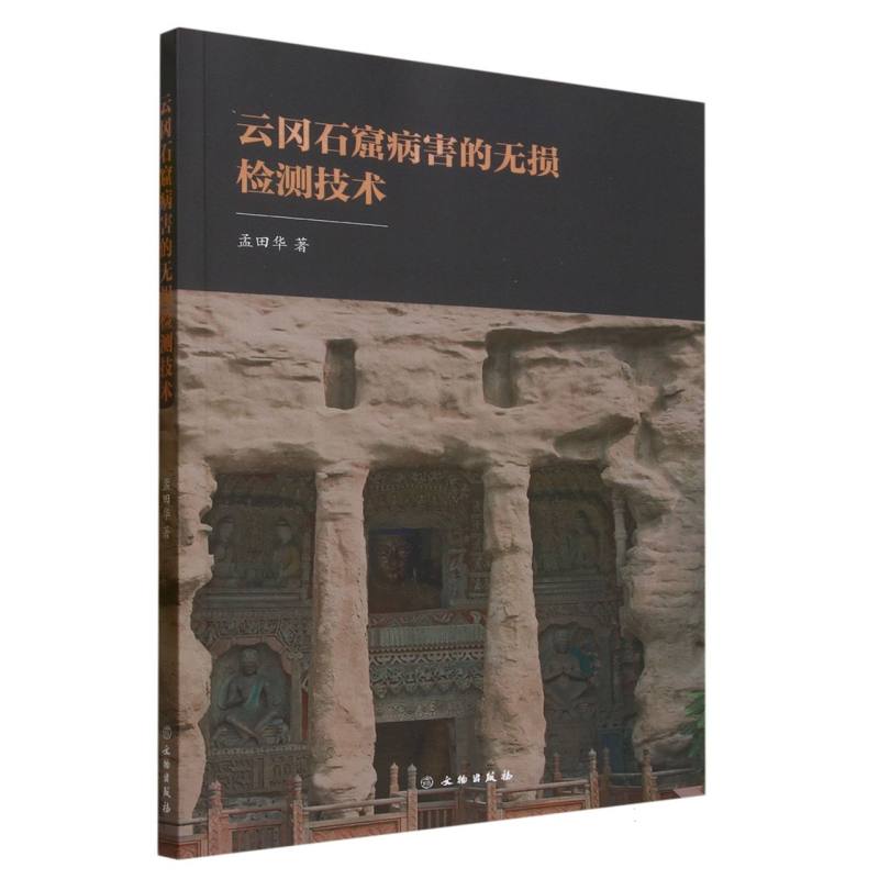 云冈石窟病害的无损检测技术 博库网