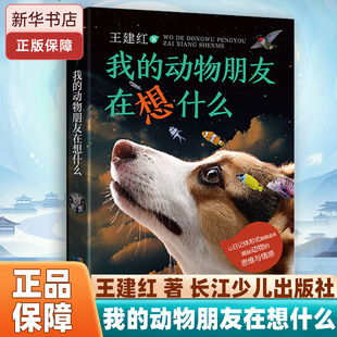 我的动物朋友在想什么 三年级春季阅读书籍阅美黔贵典耀中华王建红儿童文学小学生三年级阅读课外书长江少年儿童出版