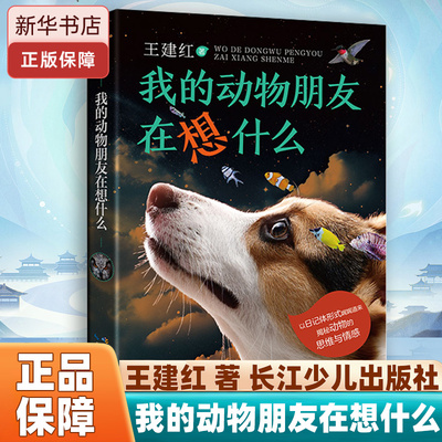 我的动物朋友在想什么三年级