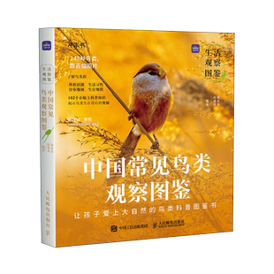 中国常见鸟类观察图鉴 生活观察图鉴观鸟摄影作品 常见的鸟类外形识别生活习性分布地域生存现状 自然生物科普百科知识