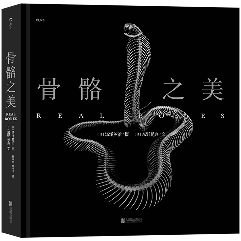 骨骼之美(精) 官方正版 博库网