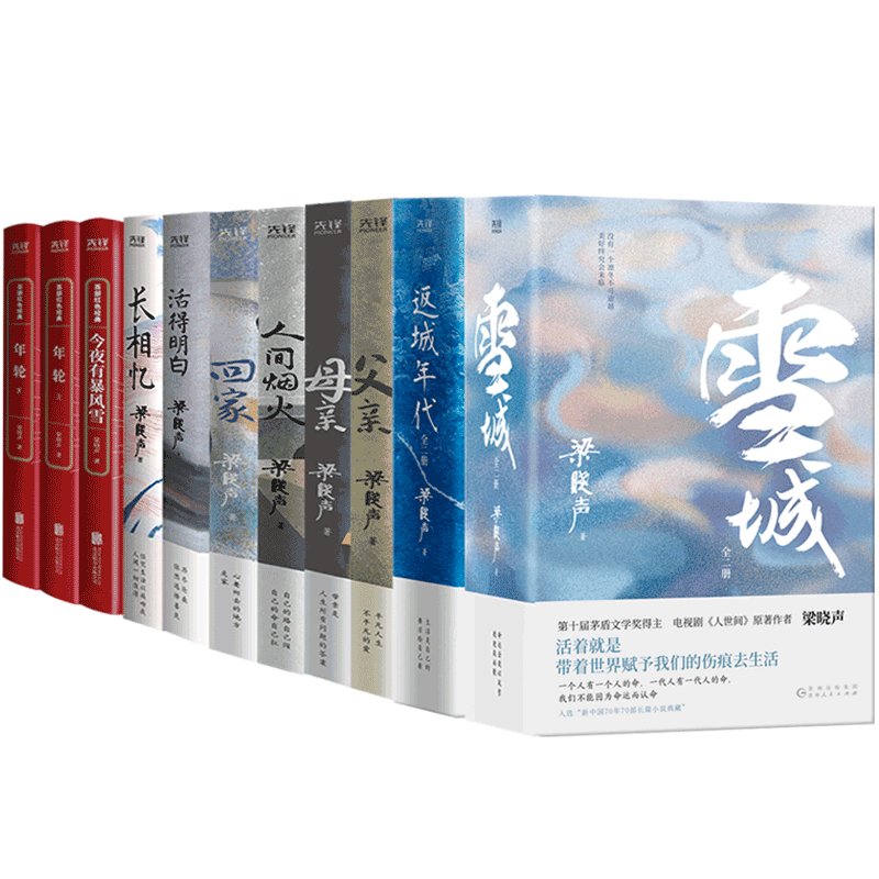 茅奖得主梁晓声作品集全11册