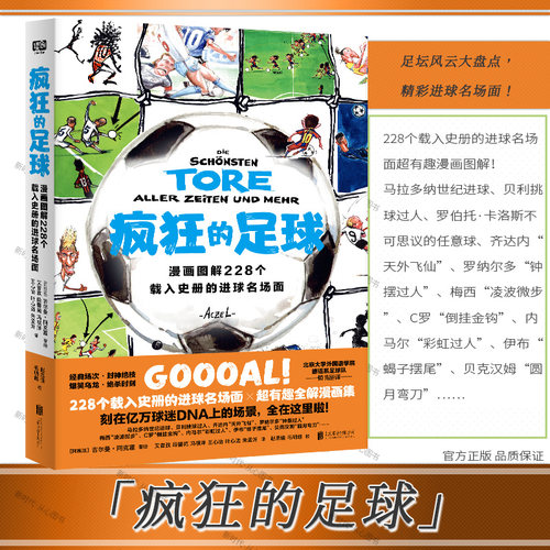 疯狂的足球：漫画图解228个
