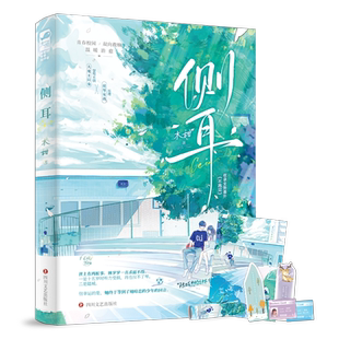 正版 侧耳小说 木甜 1本完结+新番外 双向救赎久别重逢青春言情文学校园爱情暗恋文小说实体书籍