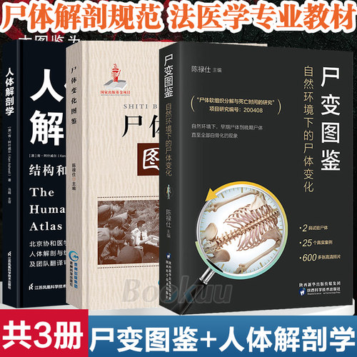 尸变图鉴自然环境下的尸体变化