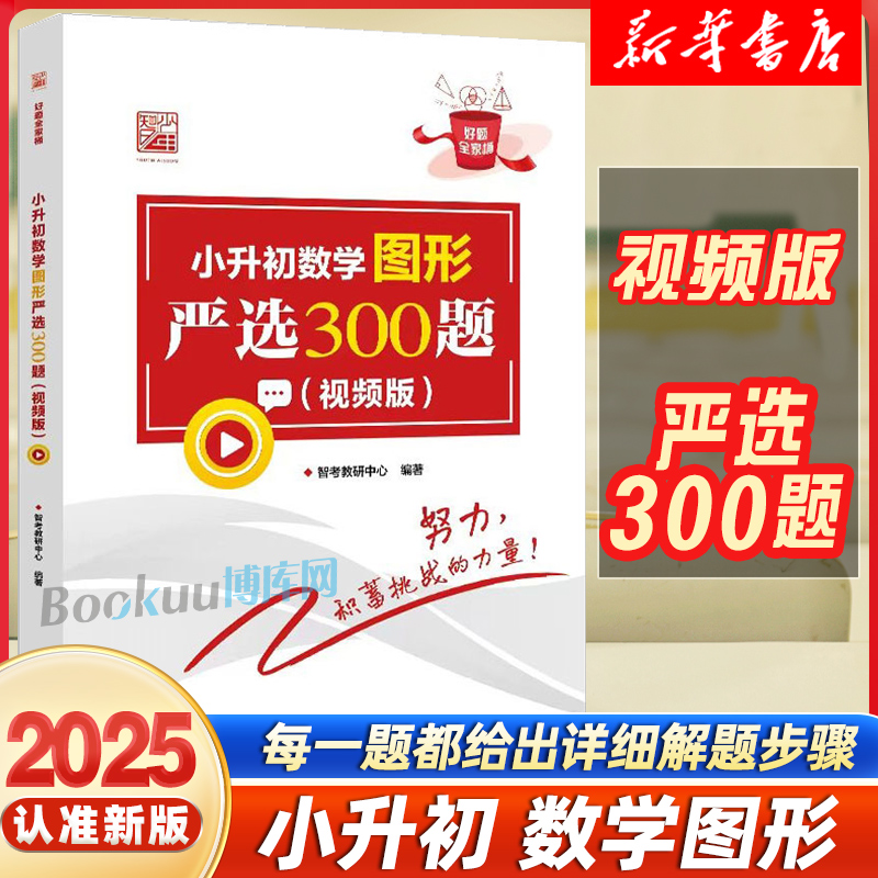 【视频版】小升初数学图形严选300题 小学六年级数学专项训练小升初衔接教材数学考试解题方法技巧大全书籍小学生毕业考试数学复习