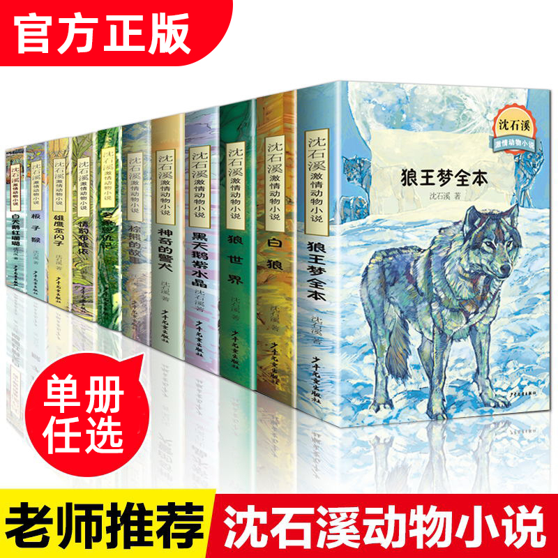 沈石溪动物小说套装11册王梦全本