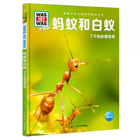 第四辑 蚂蚁和白蚁