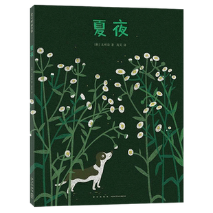 爱阅童书100本 夏夜 文明诣自然奇遇三部曲 博洛尼亚插画年度作品 惬意的夜晚散步 一步一步遇见夏天的风景大拉页艺术画卷 爱心树