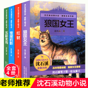 狼国女王 沈石溪动物小说全集感悟生命书系 五彩龙鸟 红豺 15岁儿童文学中小学生课外阅读物 全套共4册 狼王梦作者著正版 书籍