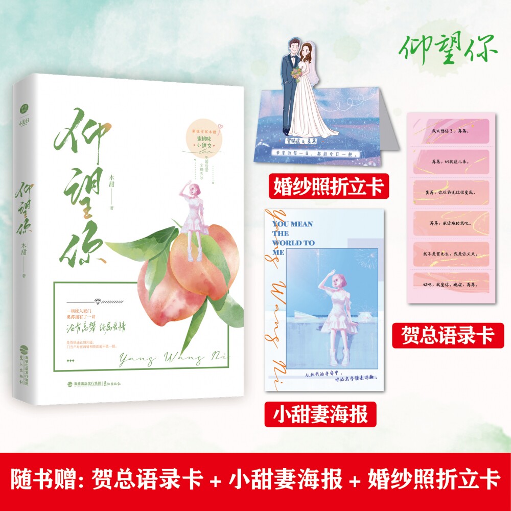 仰望你【人物海报 婚纱照折立卡 男主情话六折卡】木甜著 网络名高攀