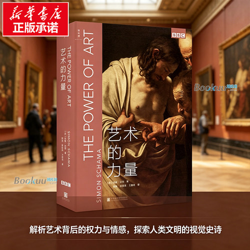 艺术的力量(精) (英)西蒙·沙玛 著 BBC 同名纪录片原著 无门槛读懂西方艺术史 艺术爱好者入门书 中国美术学院 正版书籍 博库网
