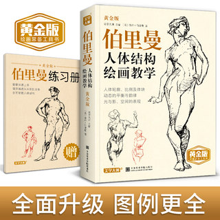 伯里曼人体结构绘画教学 黄金版 美学大师人物速写入门 送2本练习册手绘基础速写临摹书速写入门结构构造解剖中国美术学院正版书籍