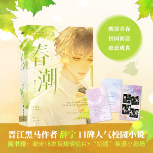 新增全新未公开番外；暗恋成真×校园初恋×口碑推荐 校园人气小说 辞宁著 晋江黑马作家辞宁首部经典 春潮