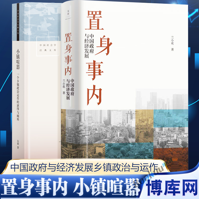 【2本套】置身事内+小镇喧嚣 中国政府与经济发展 管理书籍金融投资当代中国乡镇农村政治的观察论