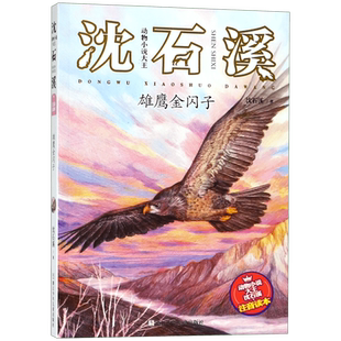雄鹰金闪子 注音版 动物小说大王沈石溪著 6-8-10周岁一二年级小学生课外阅读书籍儿童故事书语文 班主任老师推 荐经典书目