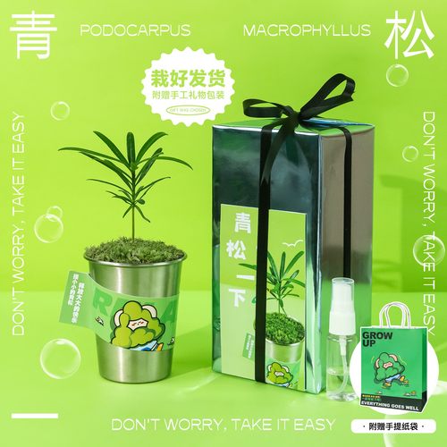 放青松桌面创意绿植摆件