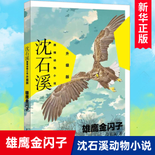 沈石溪激情动物小说升级版 中小学生三四五六年级课外阅读畅销书籍少儿6 12岁励志成长青少年儿童文学故事 雄鹰金闪子