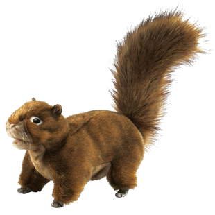 Folkmanis仿真松鼠手偶毛绒玩具早教讲故事儿童节游戏表演生日礼