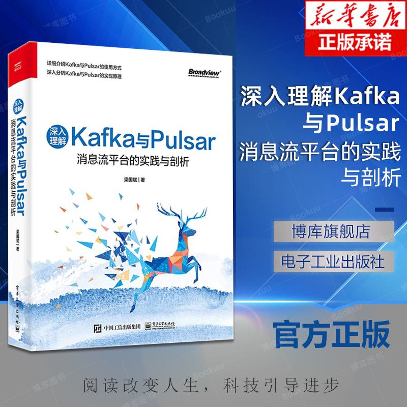 深入理解Kafka与Pulsar：消息流平台的实践与剖析 Kafka与Pulsar的使用方式实现机制磁盘存储与性能优化实践书 梁国斌