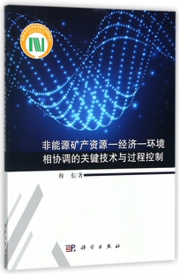 非能源矿产资源-经济-环境相协调的关键技术与过程控制 博库网