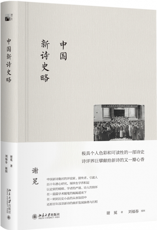 中国新诗史略 历十年潜心研究 还原百年汉语新诗的曲折发展脉络与历程 谢冕 北京大学出版社 诗歌研究
