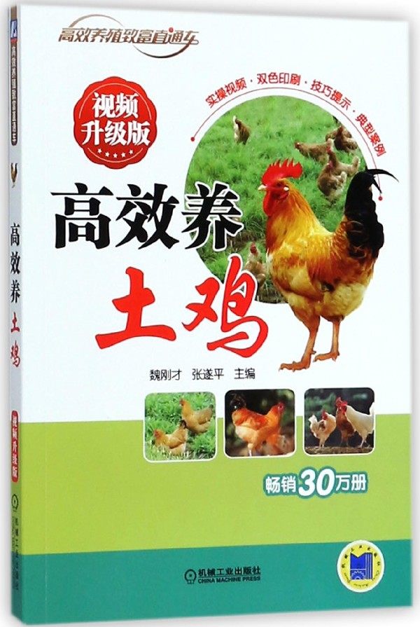 高效养土鸡(视频升级版)/高效养殖致富直通车 养土鸡自学入门教程 高效养鸡技术 养鸡的书 鸡养殖技术大全书籍 养鸡病防治实用手册