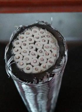 CHJPFP80/NSC 船用电缆-阻燃耐火船用通信电缆