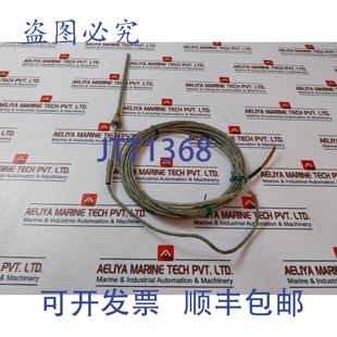 温度传感器电缆探头 原装 BEBJ228J TSC310 供应Endress Hauser