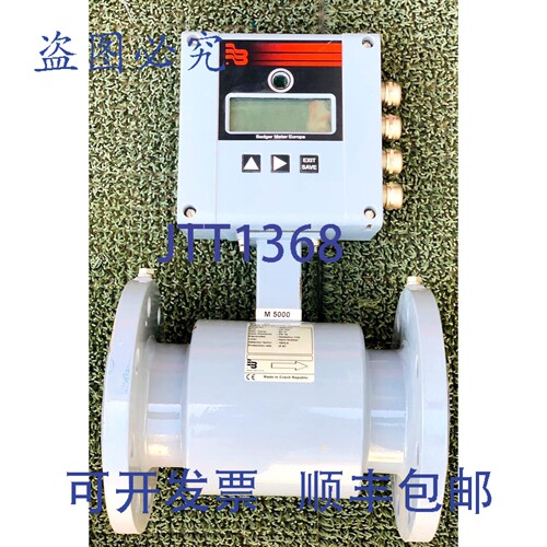 原装供应ModMAG 磁力探测器头 M5000 DN100MM