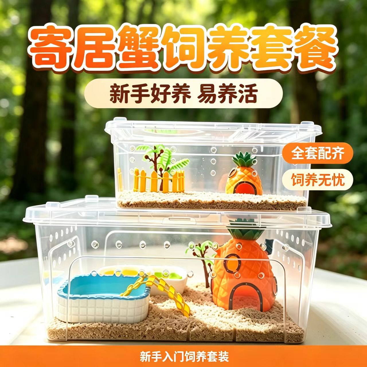 活体寄居蟹新手套装全透明饲养盒特色爬宠/鸣虫