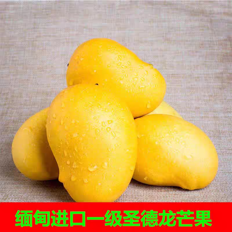 正宗缅甸进口圣德龙芒果一级精品芒果热带新鲜时令水果5到8斤包邮