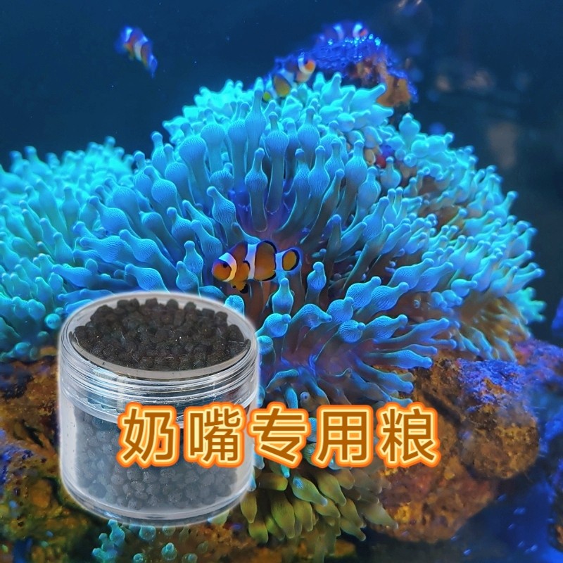 珊瑚粮 奶嘴海葵专用营养增色水族宠物饲料