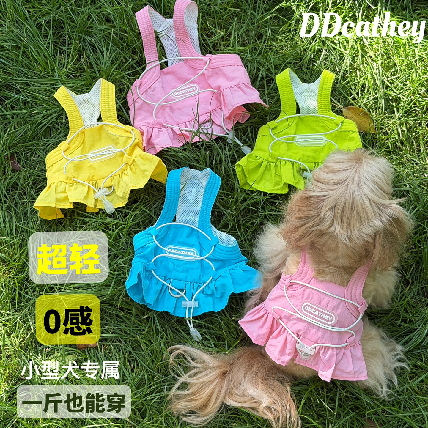 袋袋猫 户外轻量化春夏宠物牵引背心 小型犬比熊小狗胸背牵引衣服