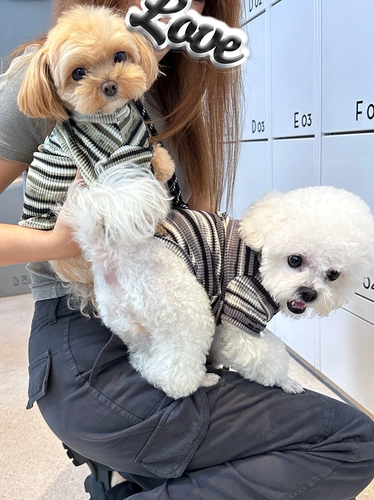 Y2k Star Gradient Sweet Cool Wind Pet T -Fork