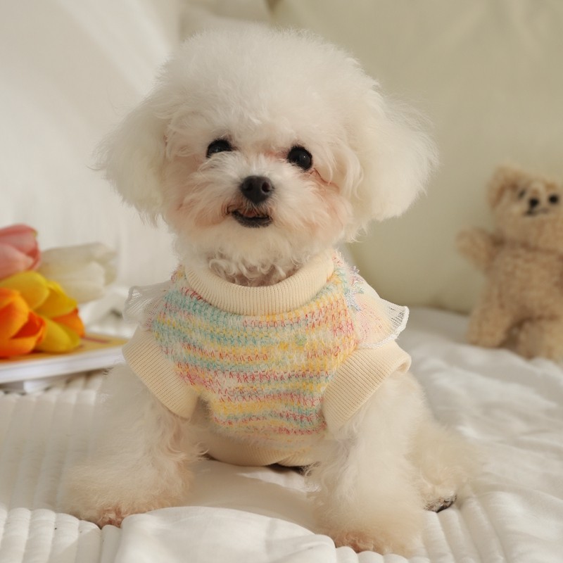 小狗狗衣服可爱花边针织衫博美吉娃娃法斗小型幼犬宠物保暖秋冬装