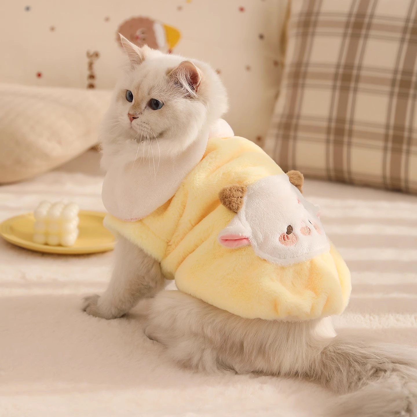 宠物秋冬款外出衣服泰迪比熊防掉毛棉服猫咪小狗服装冬季保暖外套