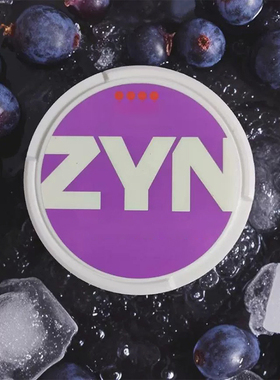 Z-Y-N口含袋瑞典snus平替多口味可选果味薄荷